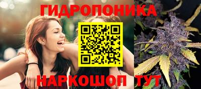 марки lsd Тара