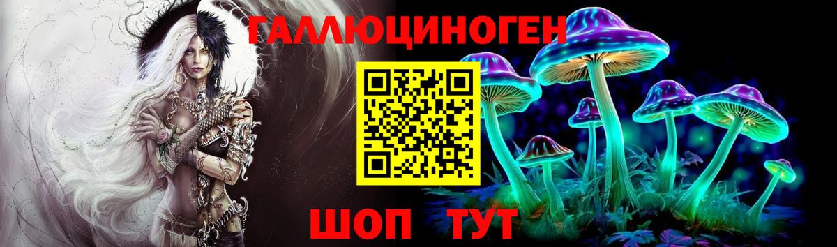 Псилоцибиновые грибы Psilocybe  Вход с VPN  Новосибирск  Галлюциногенные грибы мухоморы 